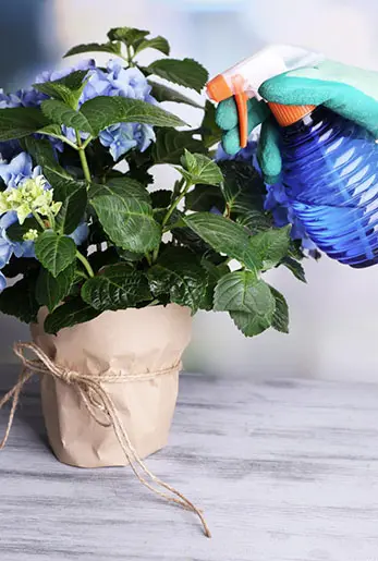 עבודות גינון